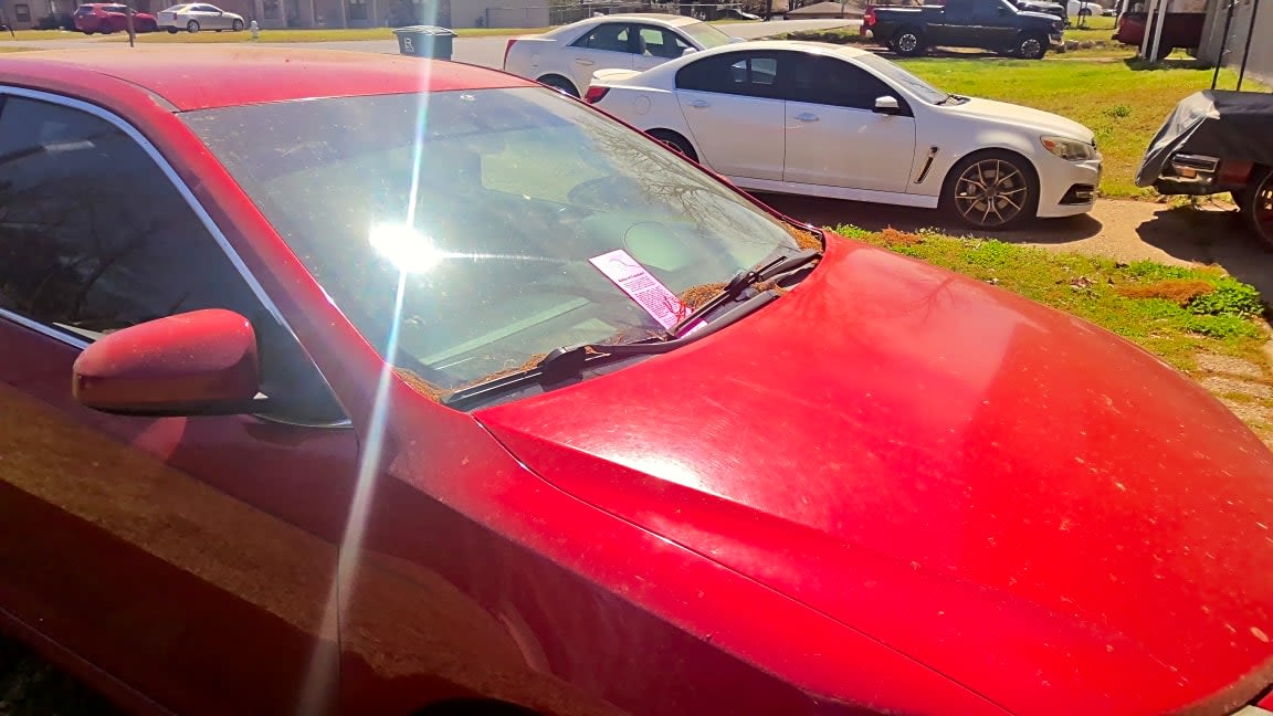 Image submitted with report