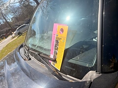 Image submitted with report