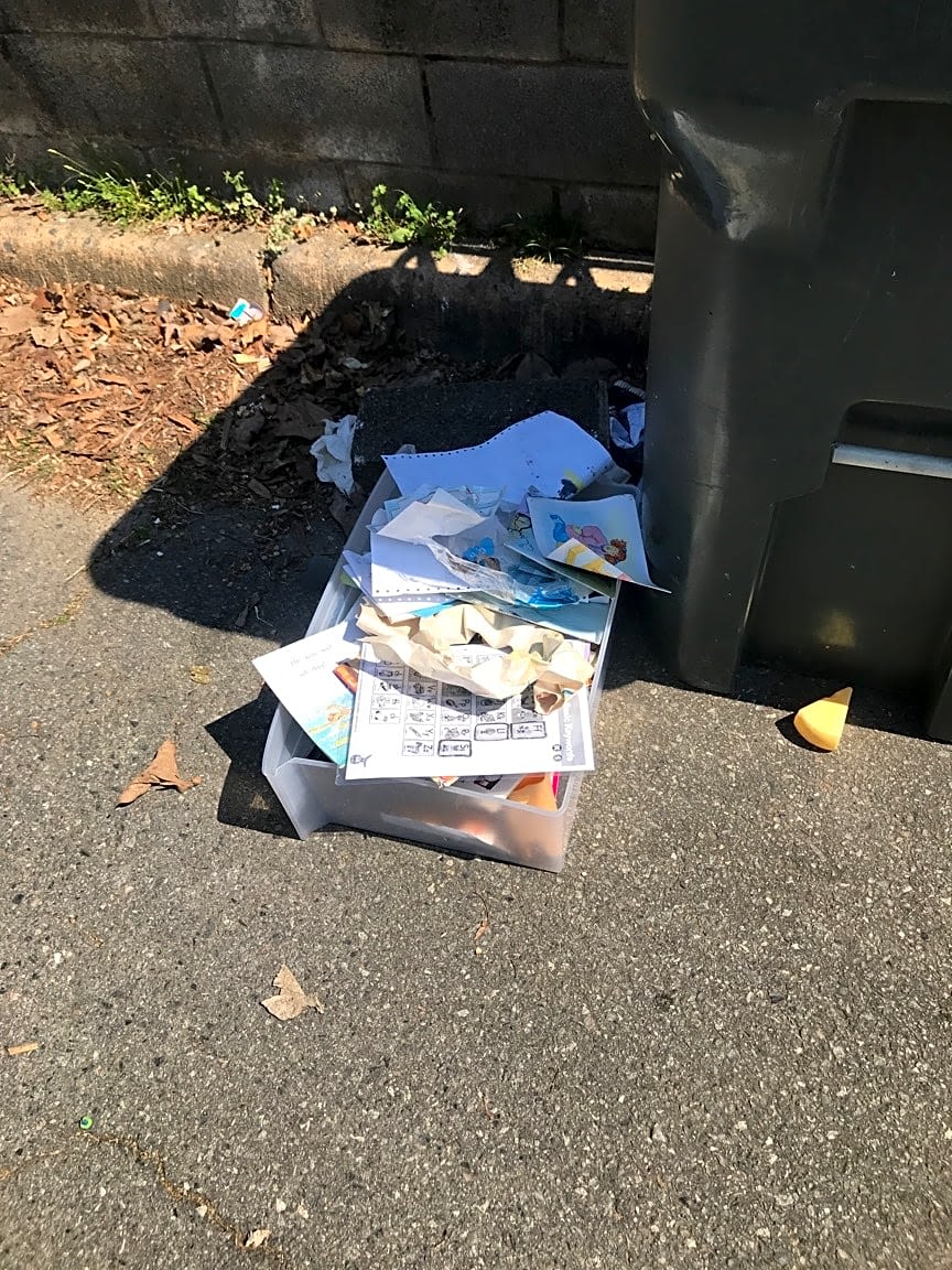 Image submitted with report