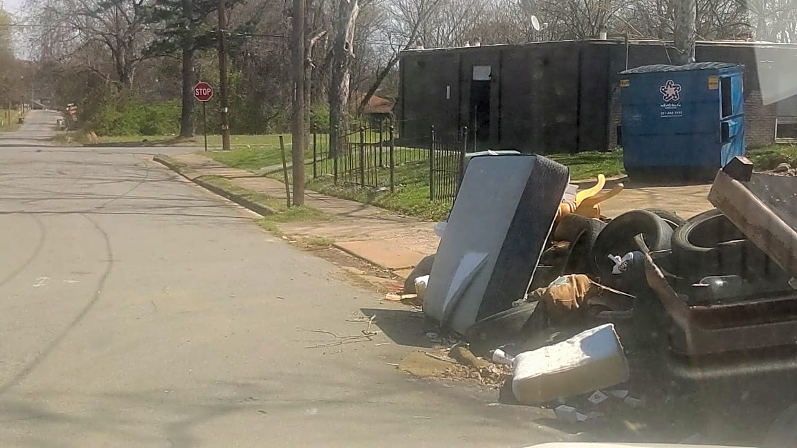 Image submitted with report