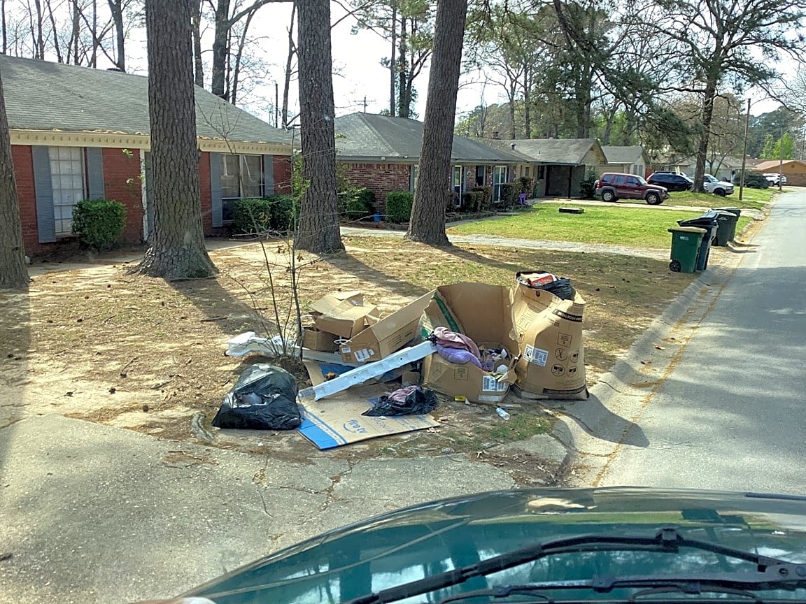 Image submitted with report