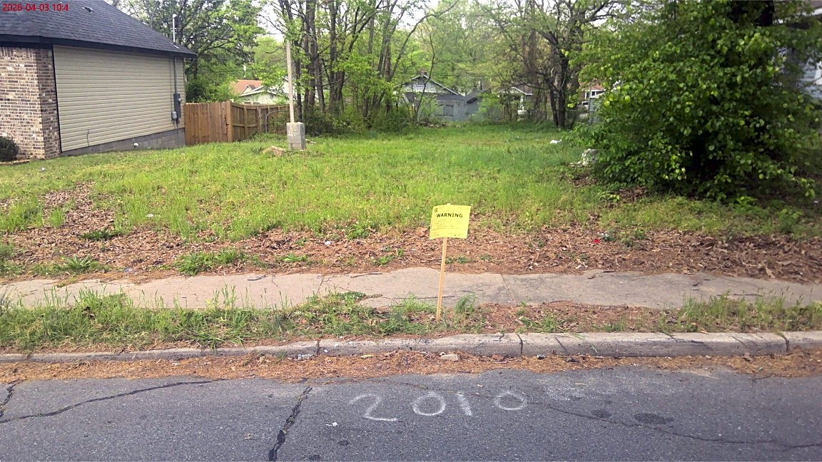 Image submitted with report