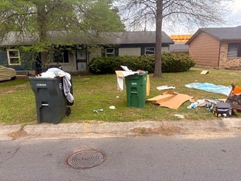 Image submitted with report