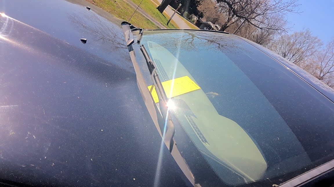 Image submitted with report