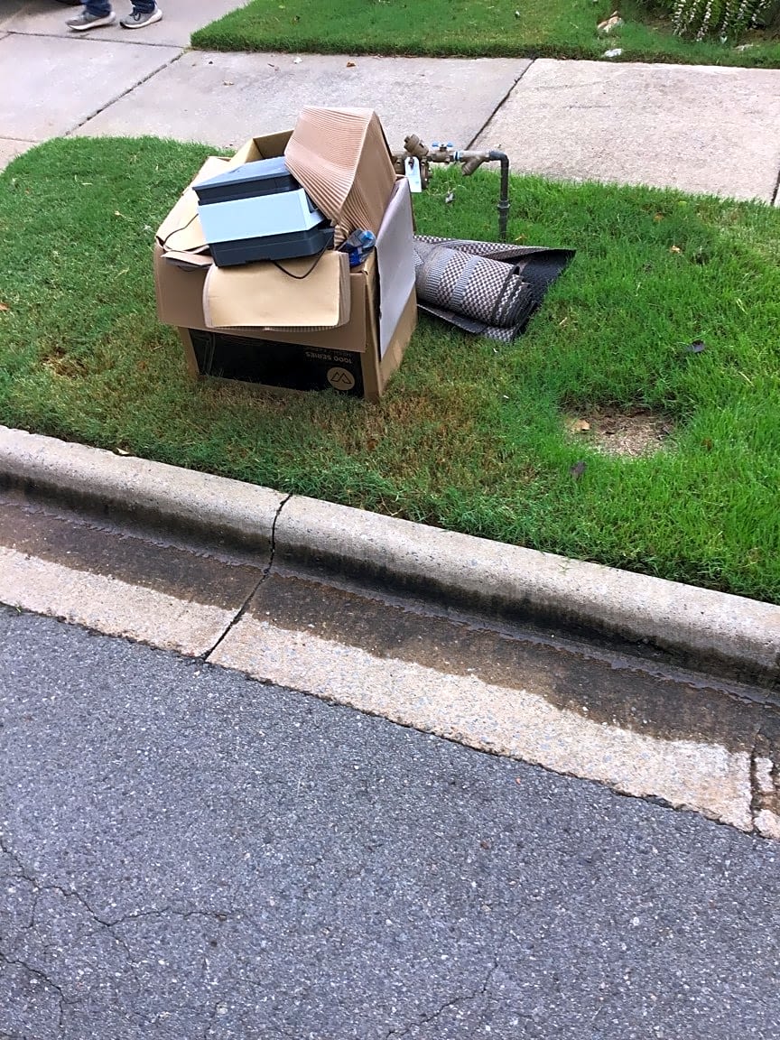 Image submitted with report