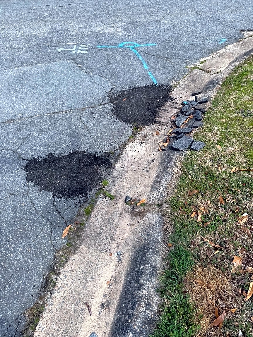 Image submitted with report