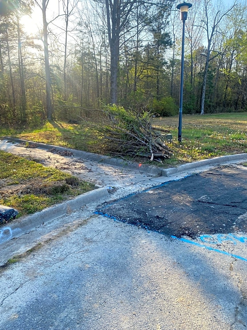 Image submitted with report