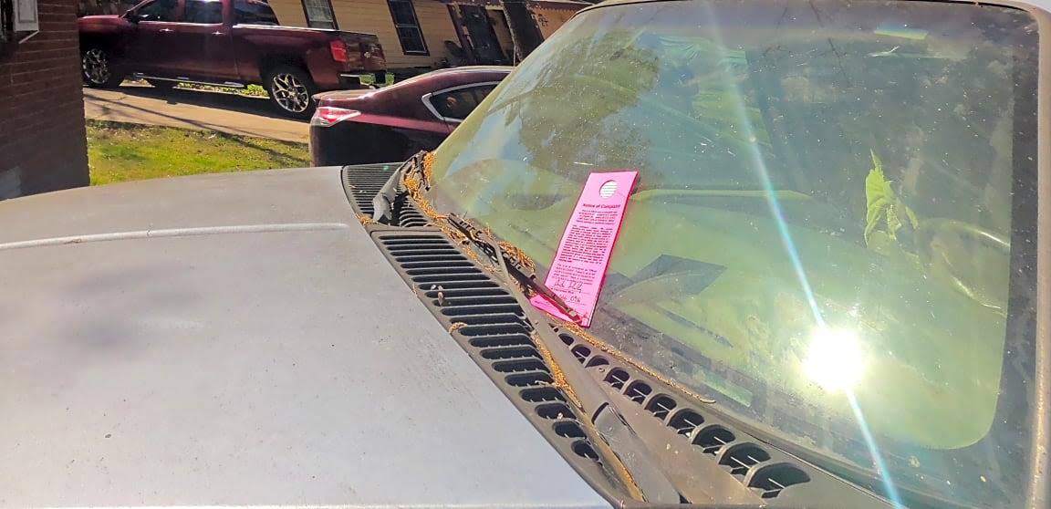 Image submitted with report