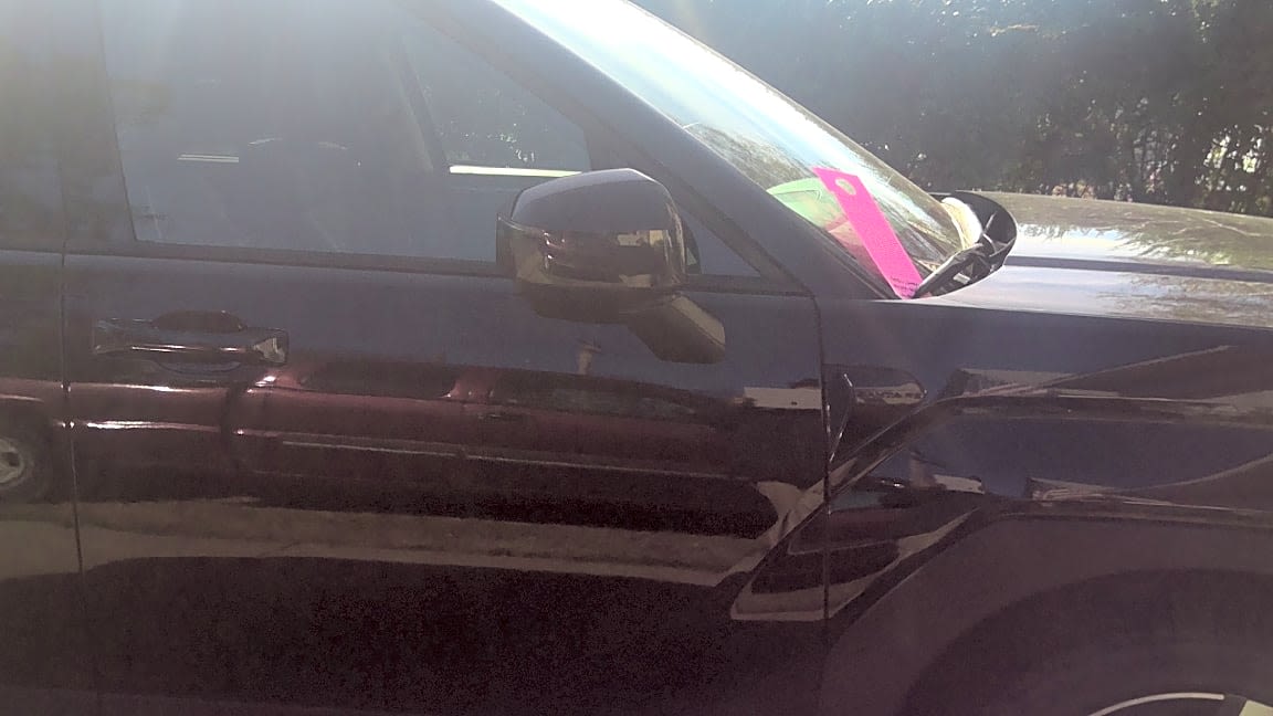 Image submitted with report