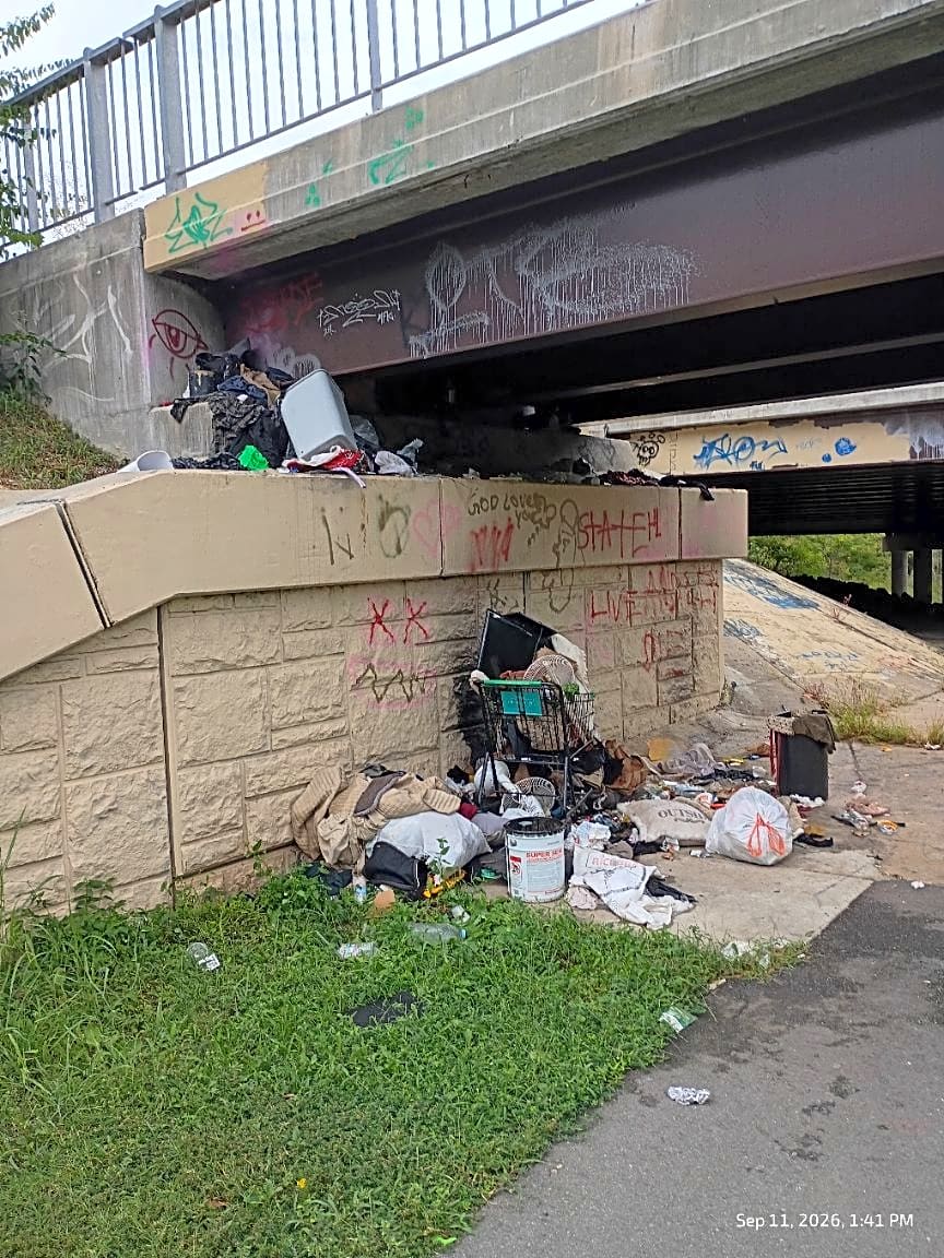Image submitted with report