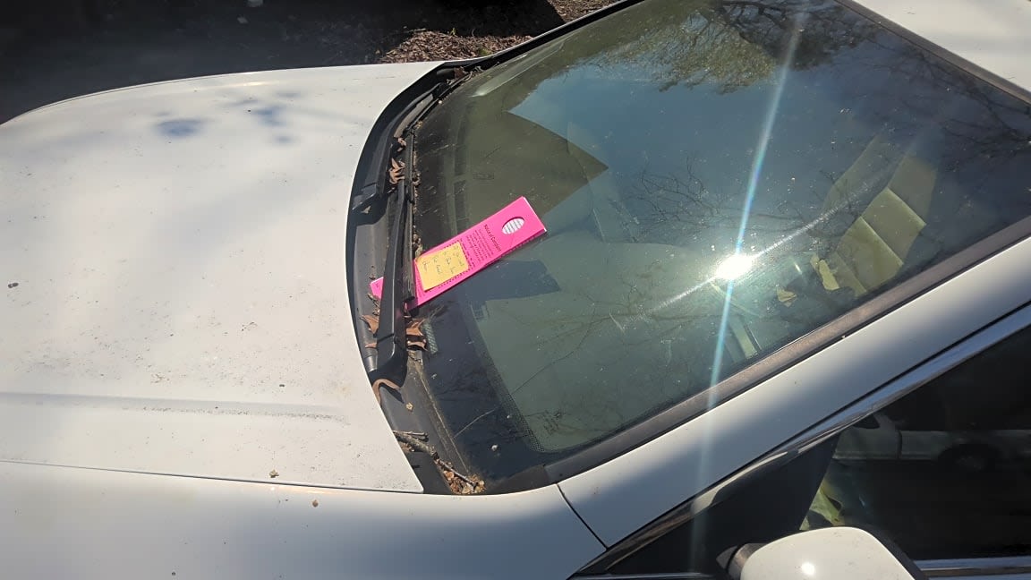 Image submitted with report