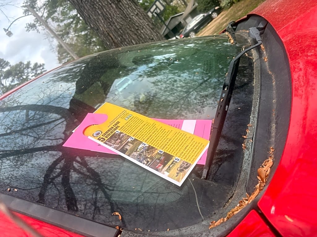 Image submitted with report