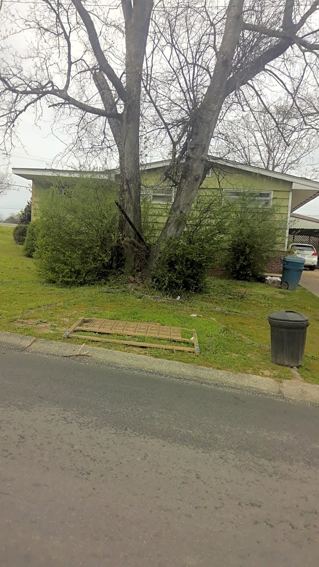 Image submitted with report