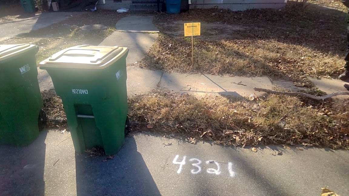 Image submitted with report