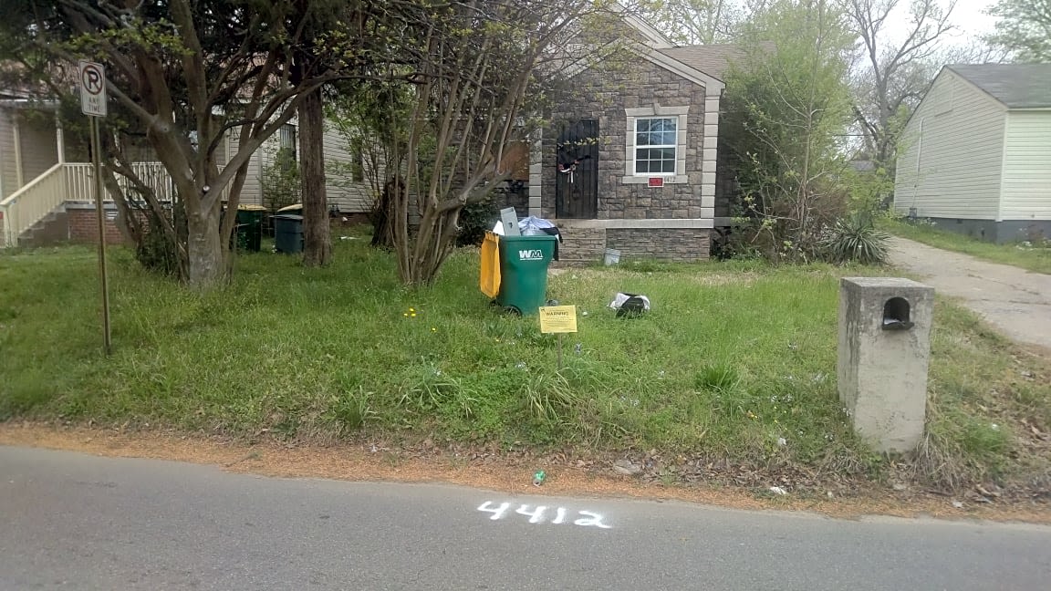 Image submitted with report