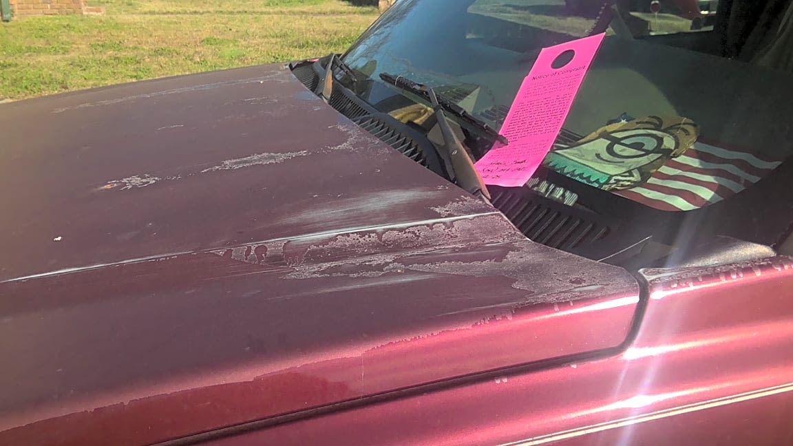 Image submitted with report