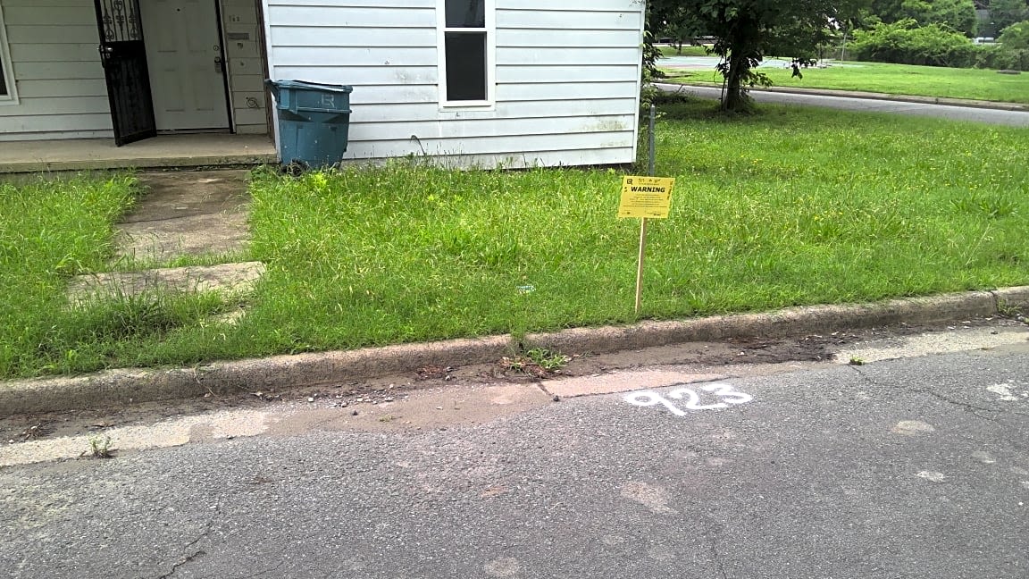 Image submitted with report