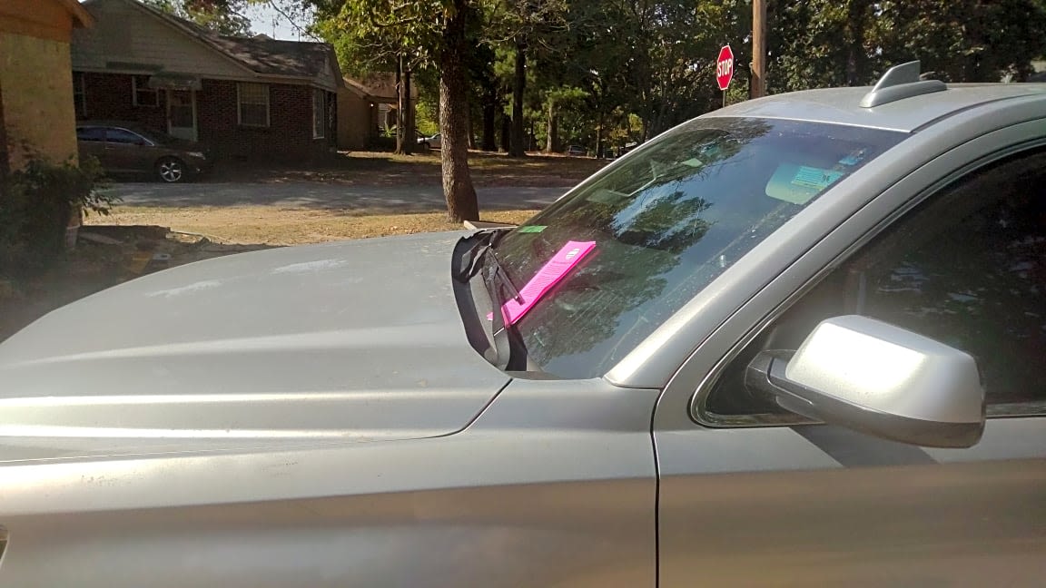 Image submitted with report