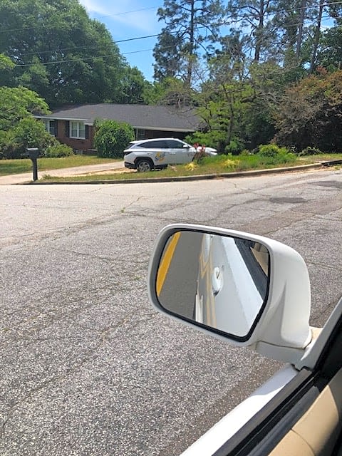 Image submitted with report