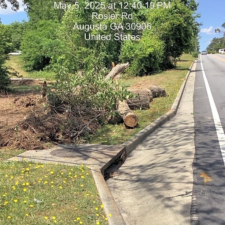 Image submitted with report