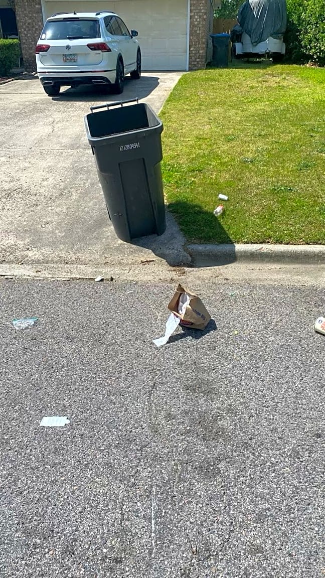Image submitted with report