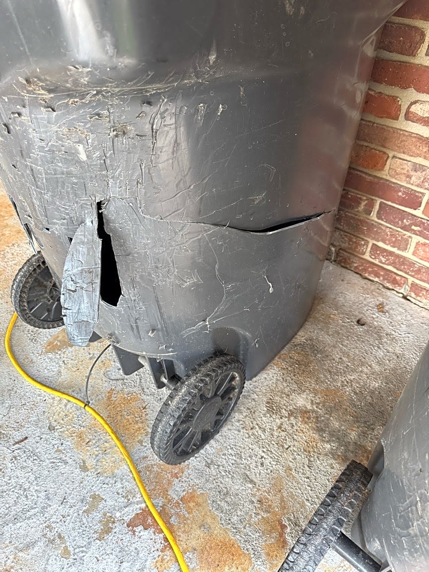 Image submitted with report