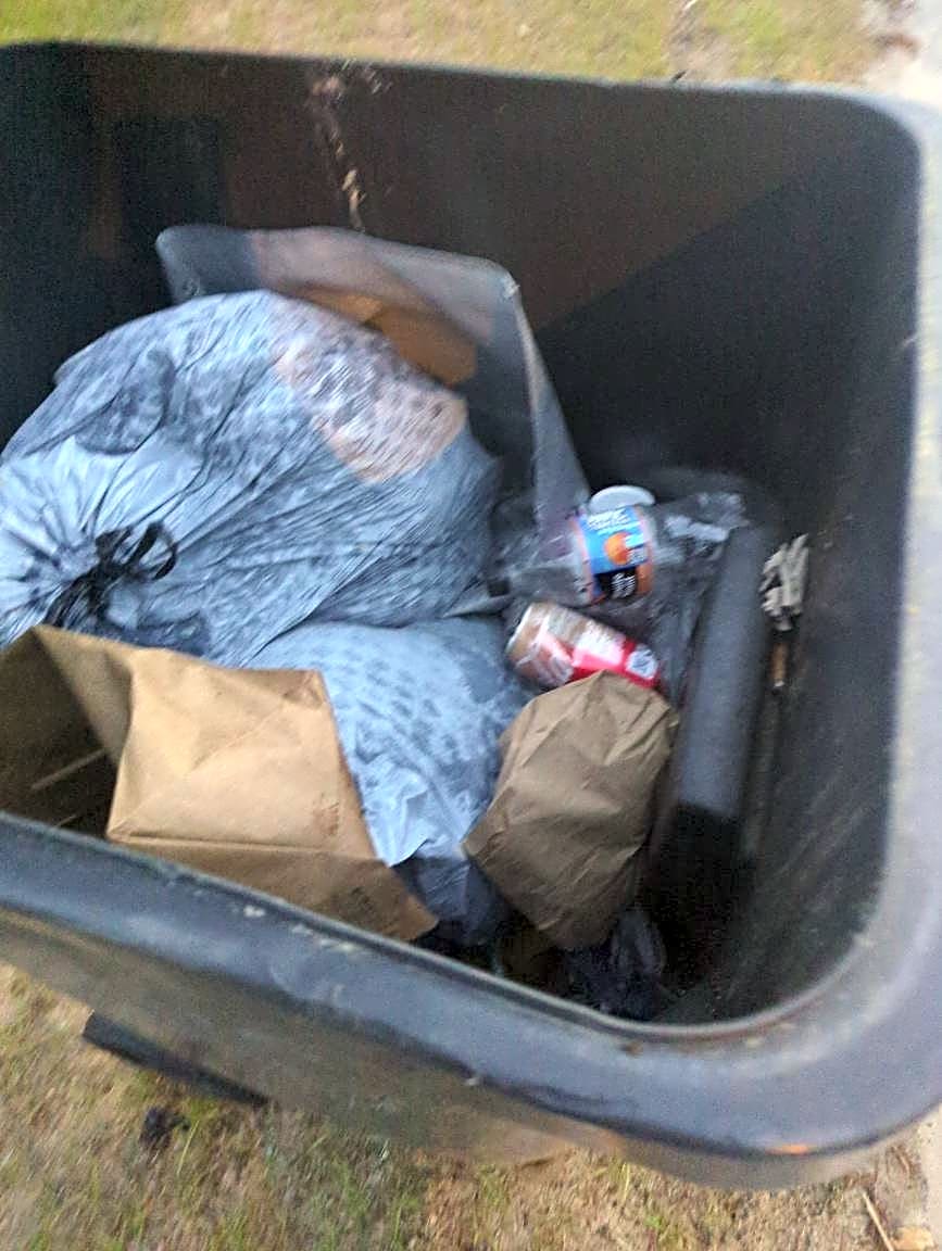Image submitted with report