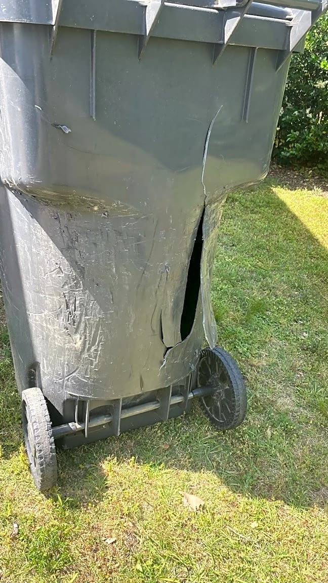Image submitted with report