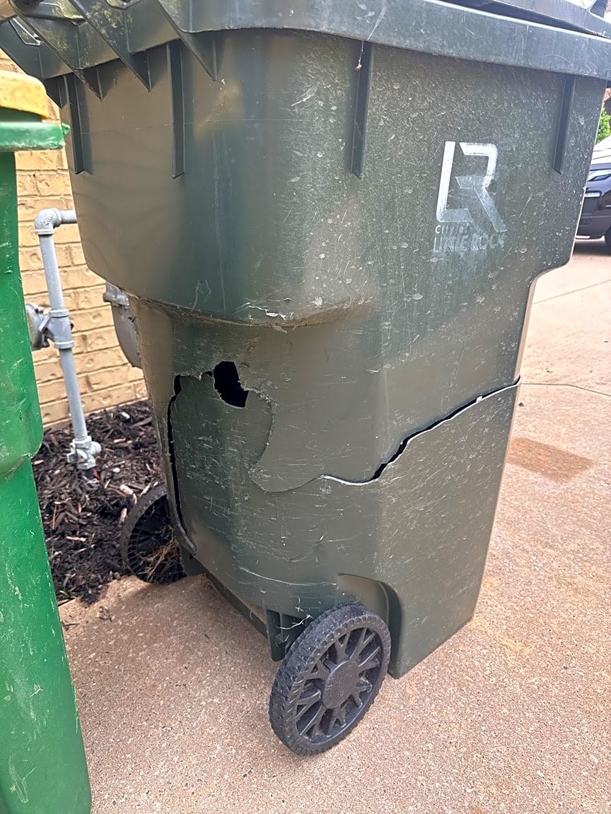 Image submitted with report