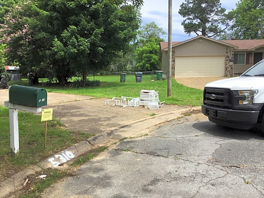 Image submitted with report