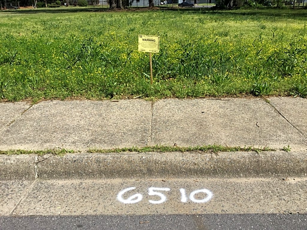 Image submitted with report