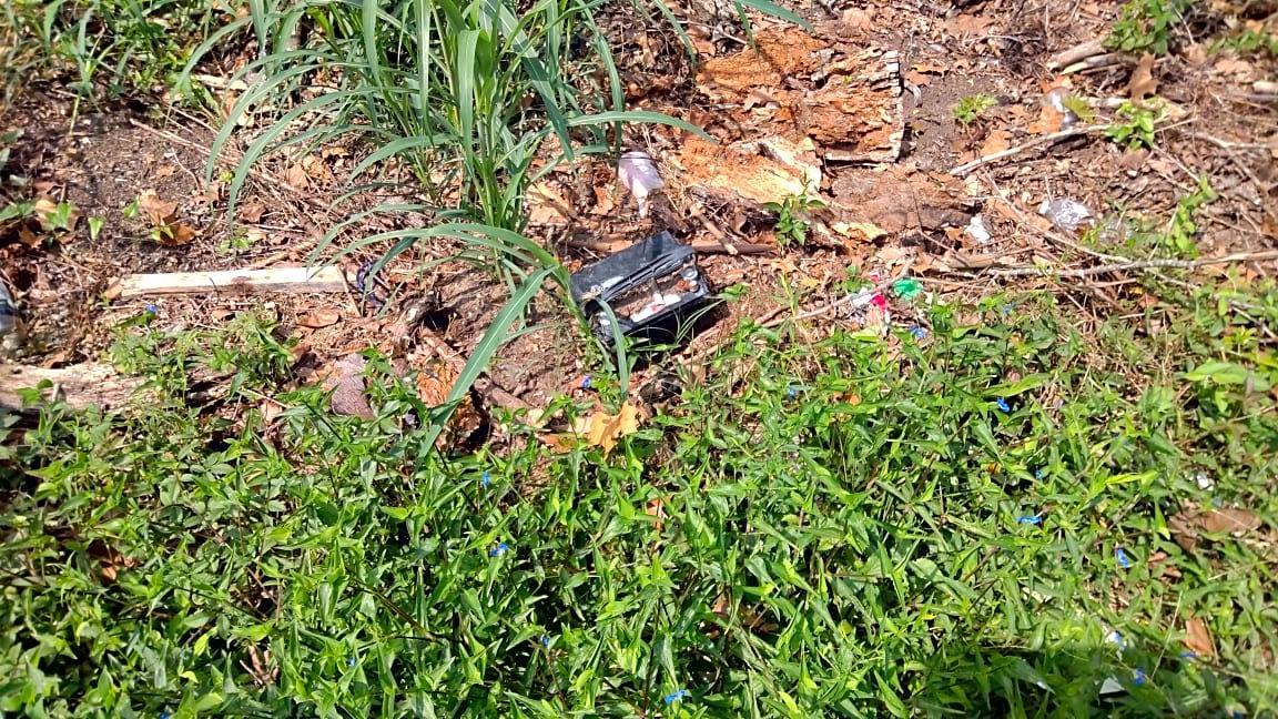 Image submitted with report