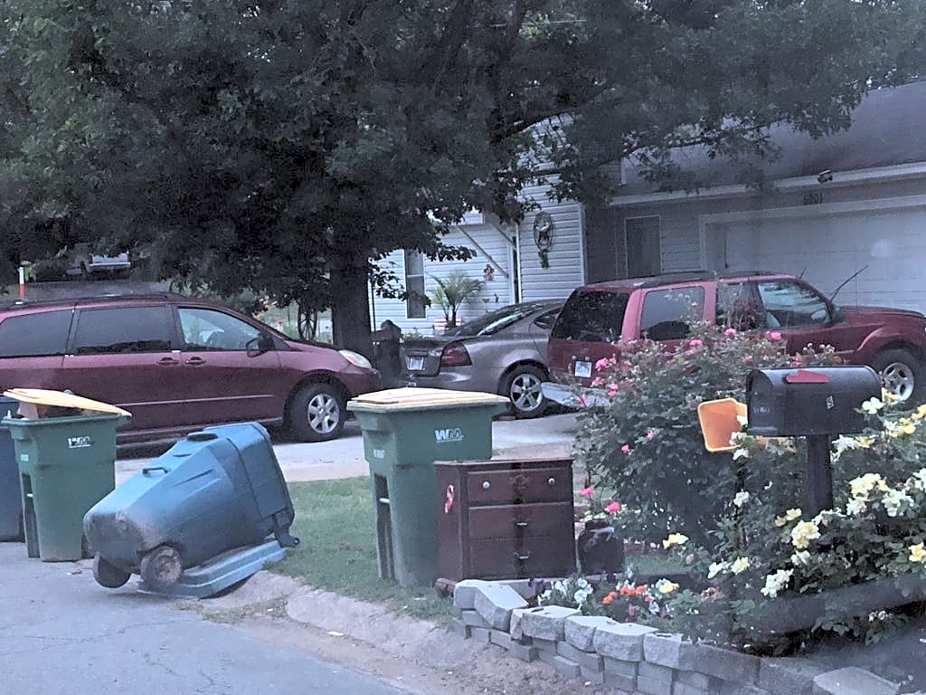 Image submitted with report