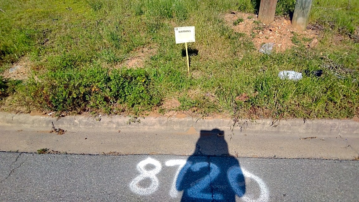 Image submitted with report