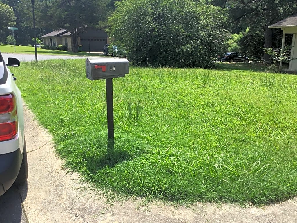 Image submitted with report