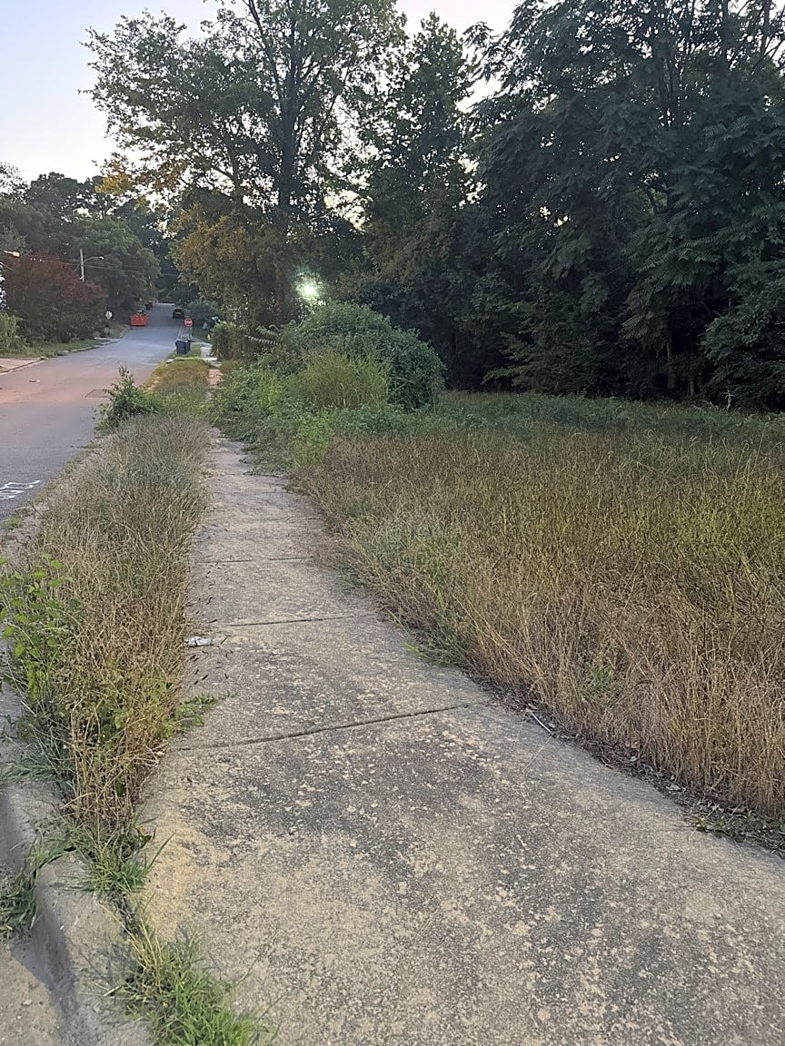 Image submitted with report