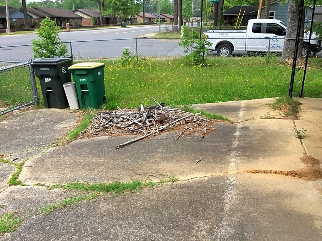 Image submitted with report
