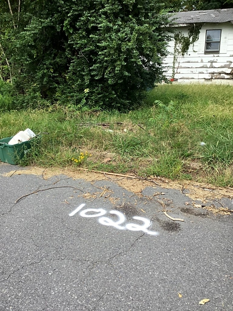 Image submitted with report