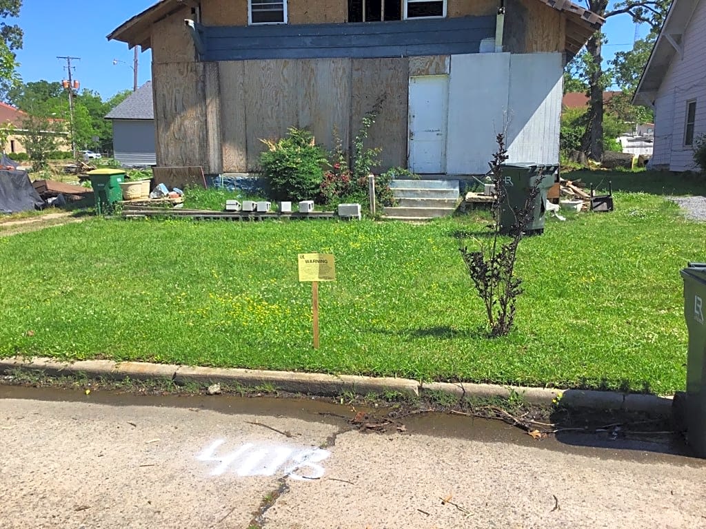 Image submitted with report