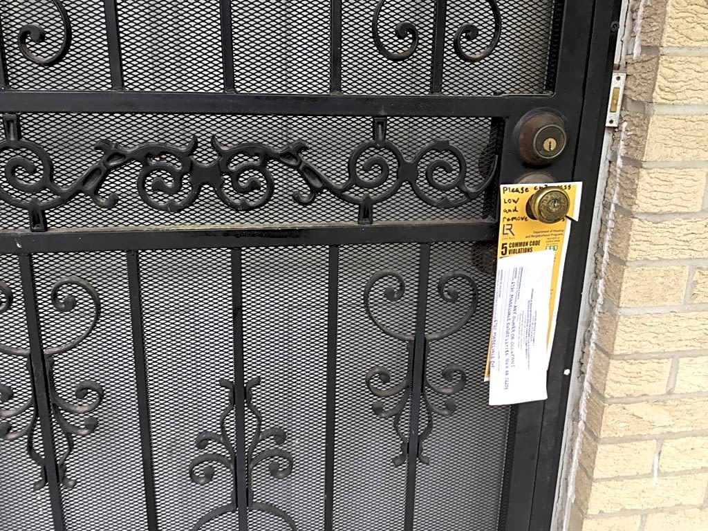 Image submitted with report