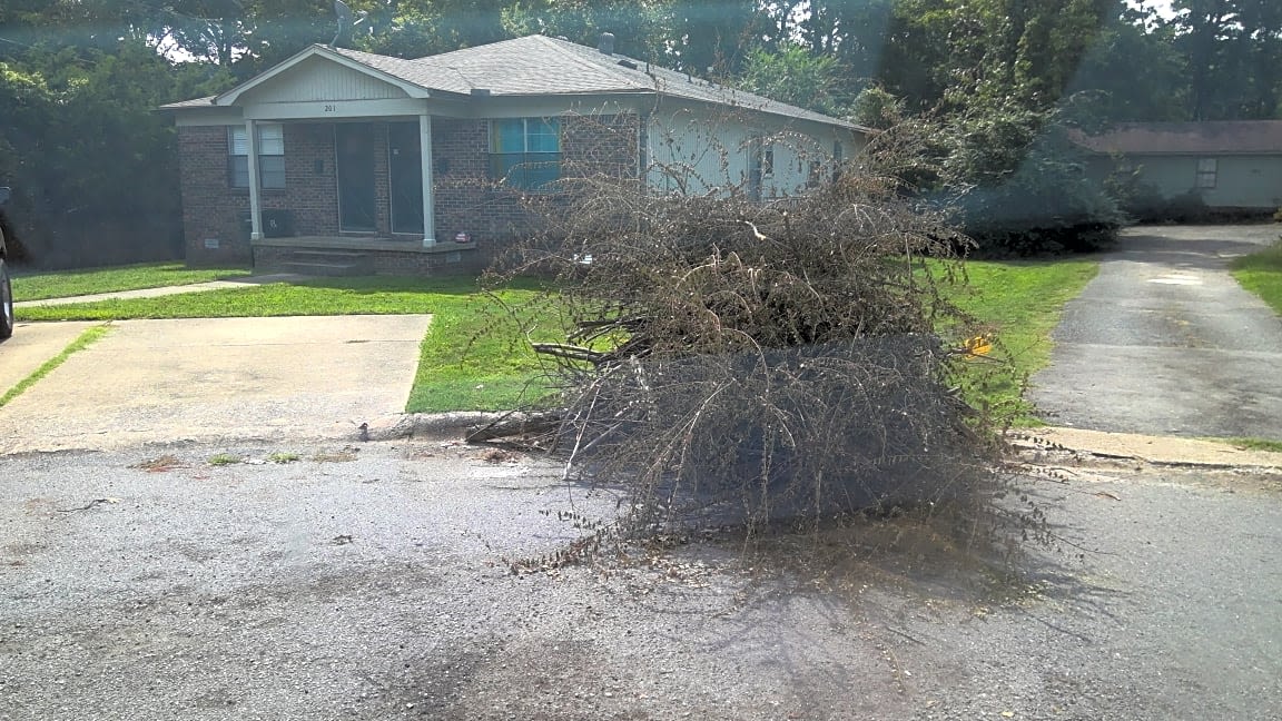 Image submitted with report