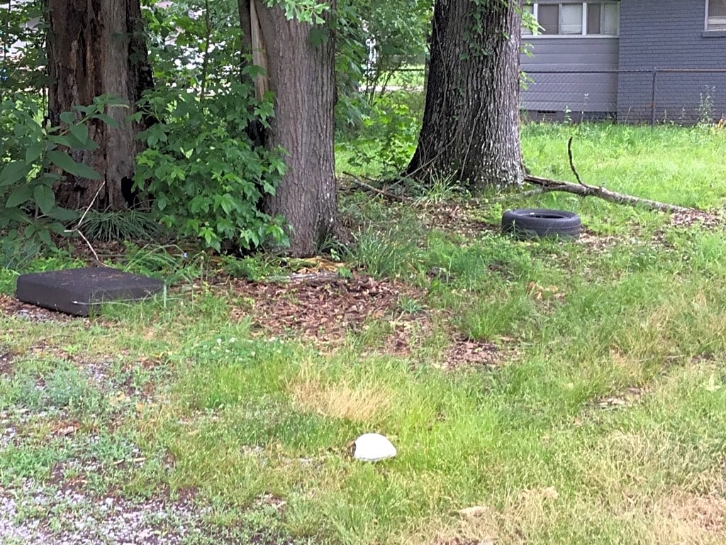 Image submitted with report