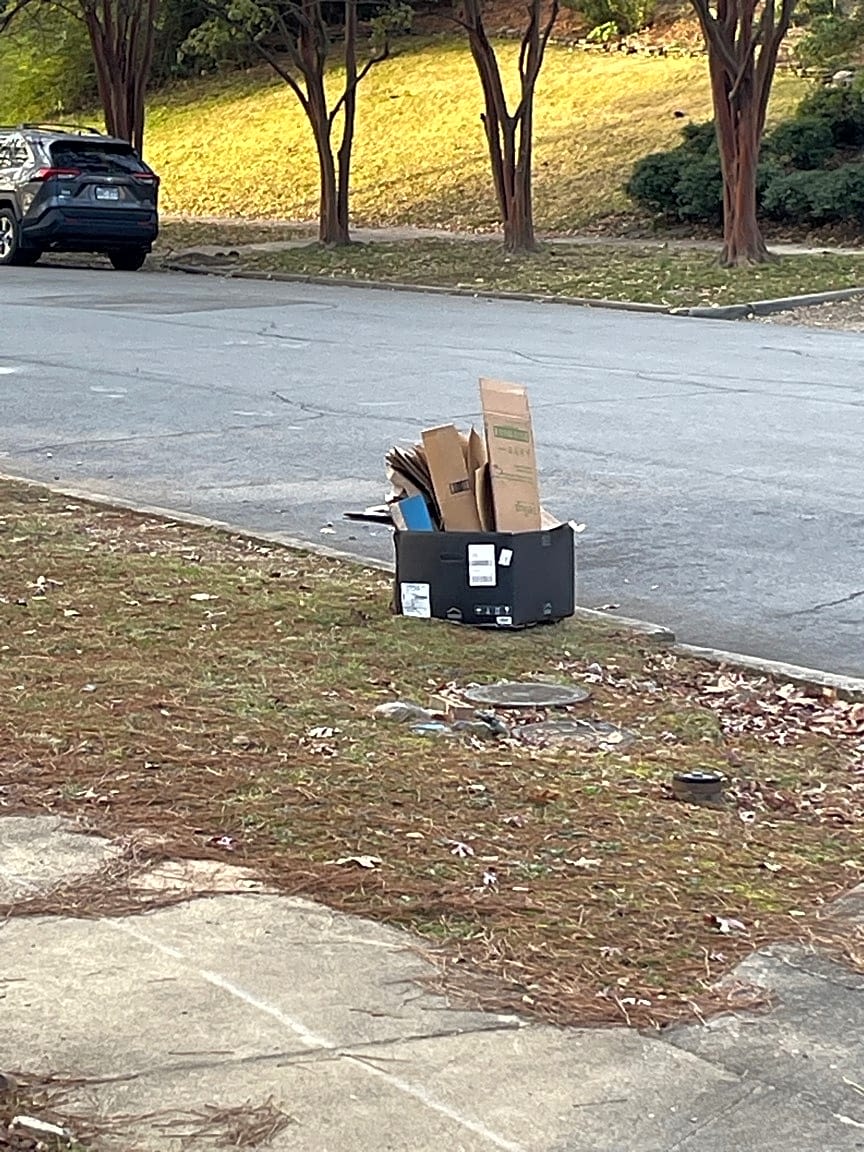 Image submitted with report