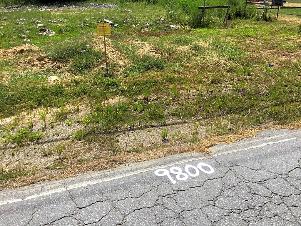 Image submitted with report