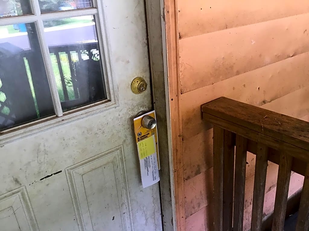 Image submitted with report