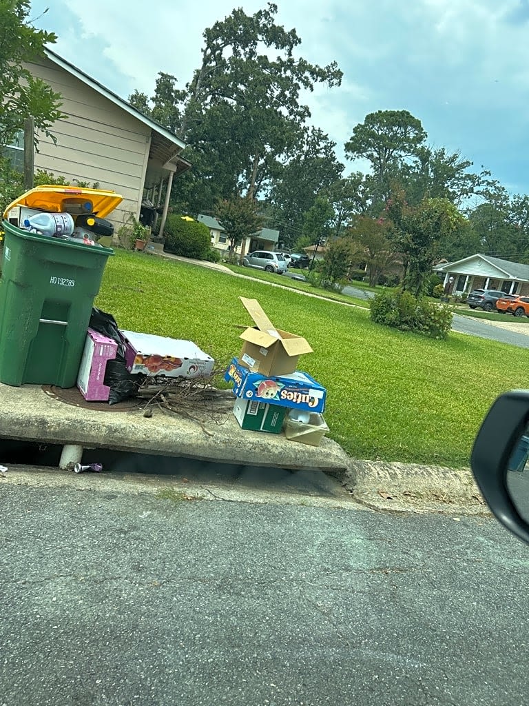 Image submitted with report