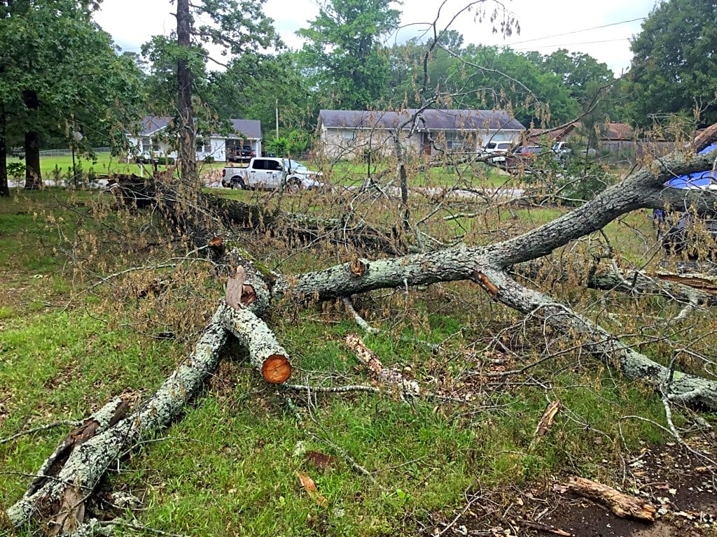 Image submitted with report