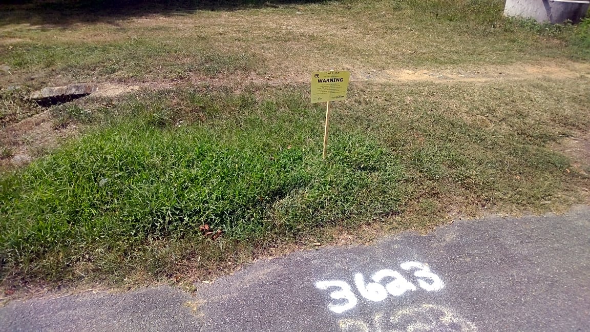 Image submitted with report