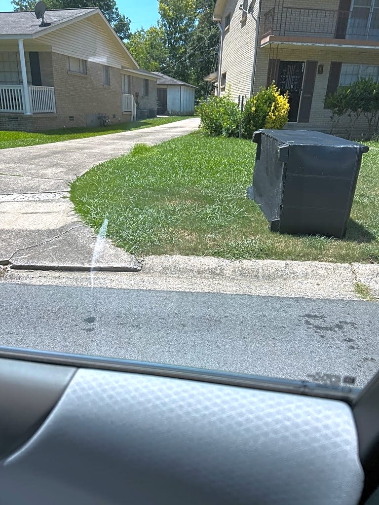 Image submitted with report