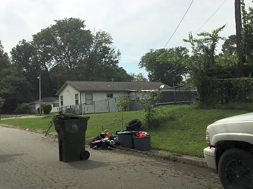 Image submitted with report